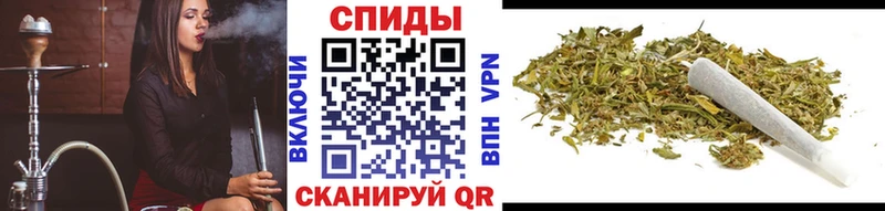 Бутират буратино  Купить  Белокуриха 