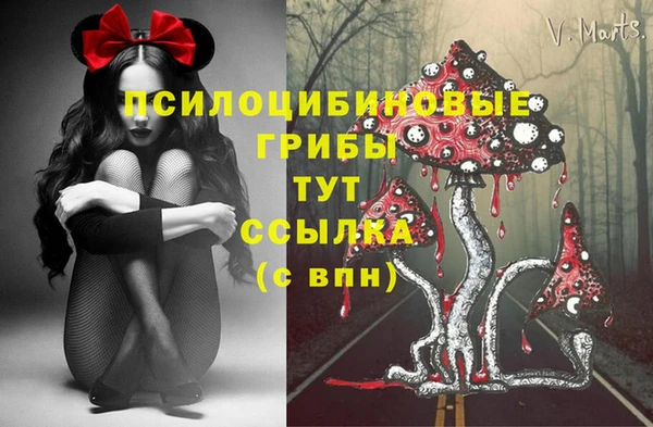 мдпв Богородск