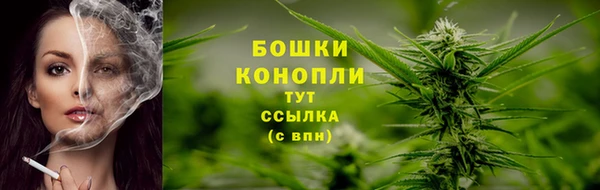 jwh Богородицк